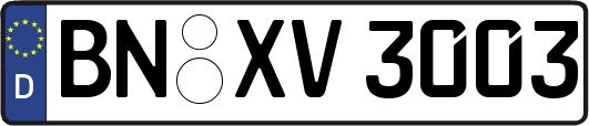 BN-XV3003