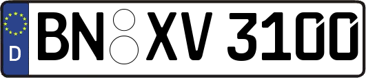 BN-XV3100