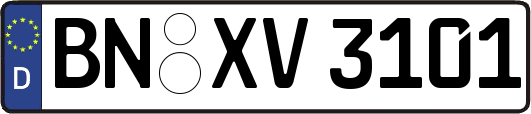 BN-XV3101