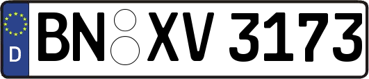 BN-XV3173