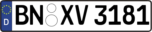 BN-XV3181