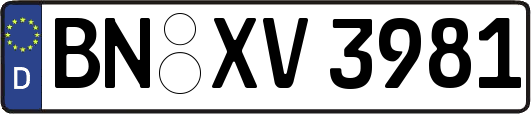 BN-XV3981