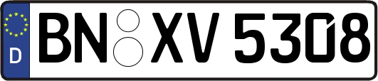BN-XV5308