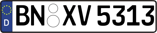 BN-XV5313