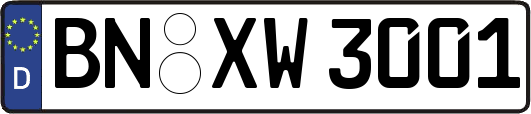 BN-XW3001