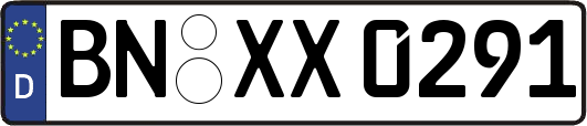 BN-XX0291