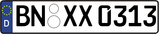 BN-XX0313