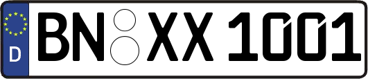 BN-XX1001