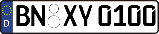 BN-XY0100