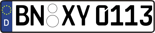 BN-XY0113
