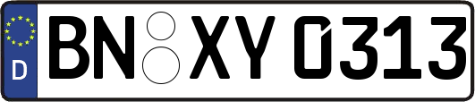 BN-XY0313