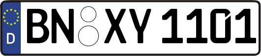 BN-XY1101