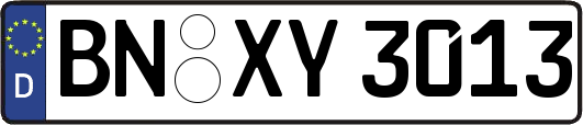 BN-XY3013