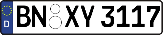 BN-XY3117