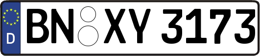 BN-XY3173