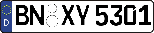 BN-XY5301
