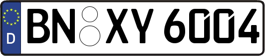 BN-XY6004