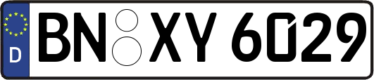 BN-XY6029