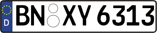 BN-XY6313