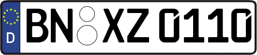 BN-XZ0110