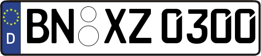 BN-XZ0300