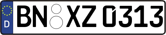 BN-XZ0313