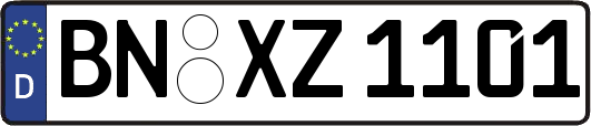 BN-XZ1101