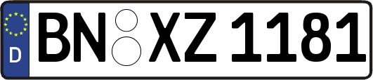 BN-XZ1181