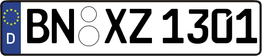 BN-XZ1301