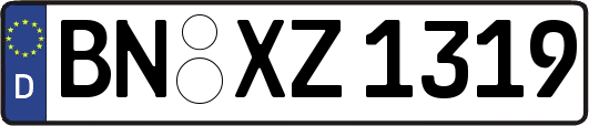 BN-XZ1319