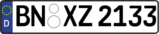 BN-XZ2133