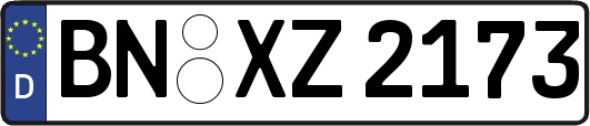 BN-XZ2173