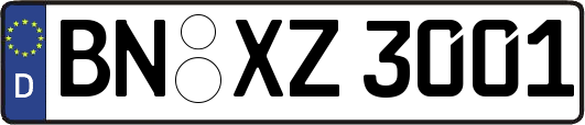 BN-XZ3001