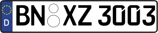 BN-XZ3003