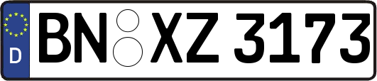 BN-XZ3173