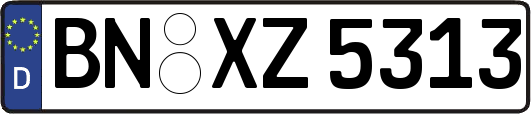 BN-XZ5313
