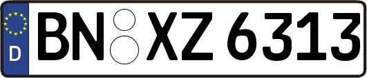 BN-XZ6313
