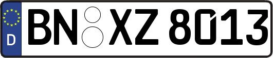 BN-XZ8013