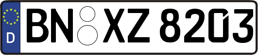 BN-XZ8203