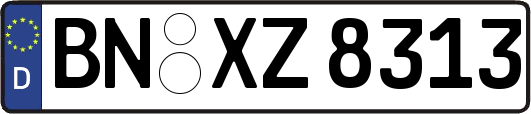 BN-XZ8313