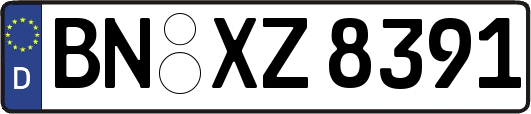 BN-XZ8391