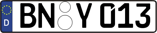 BN-Y013