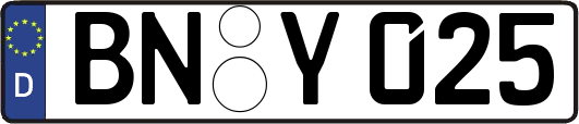 BN-Y025