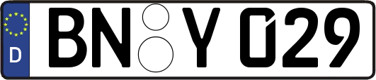 BN-Y029