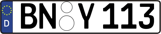 BN-Y113