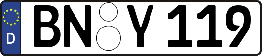 BN-Y119
