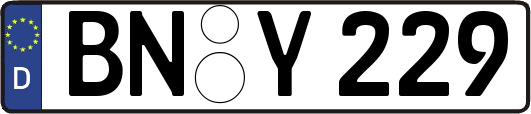 BN-Y229
