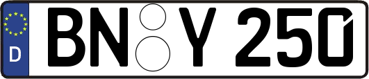 BN-Y250