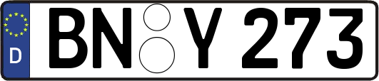 BN-Y273