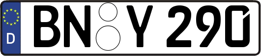 BN-Y290